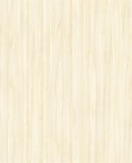 R27034 R27034