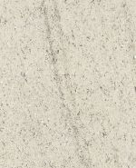 S61011 S61011
