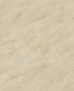 S62021 S62021