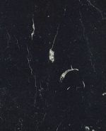 S63014 S63014