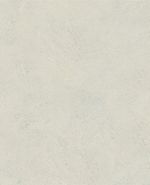 S63022 S63022