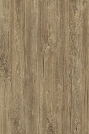 H1113 ST10 H1113 ST10