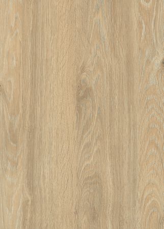 H3131 ST12 H3131 ST12