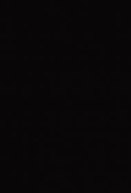 U999 ST2 U999 ST2