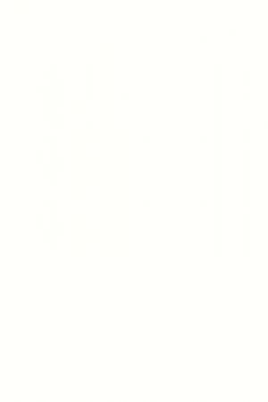 W1100 ST30 W1100 ST30