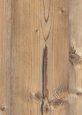 H1487 ST22 H1487 ST22