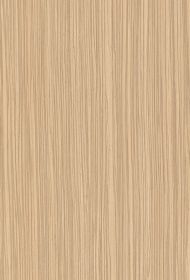 H3006 ST22